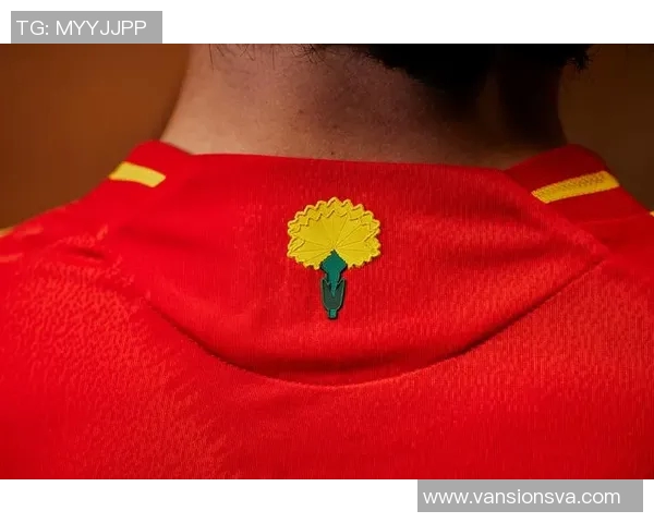 国家队新球衣正式发布，设计灵感源自传统文化