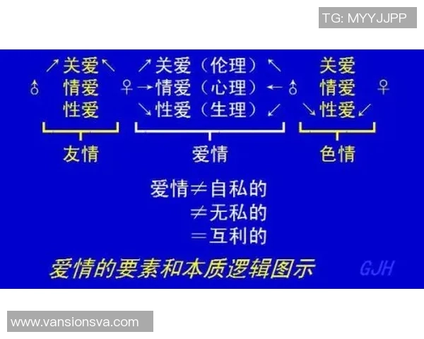 球迷行为学视角下的情感驱动与群体效应研究 球迷行为学视角下的情感驱动与群体效应研究